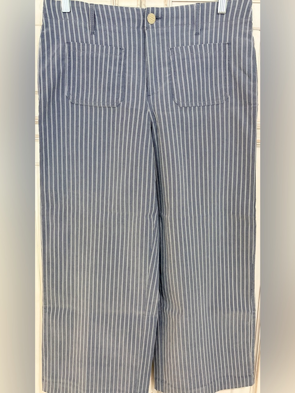 NWOT SZ L Jules & Leopold Blue and White Vertical-Stripe wide leg pant